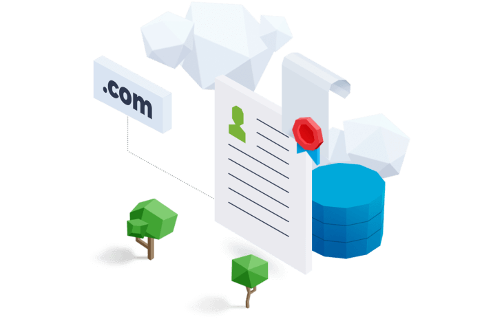 domain isometry